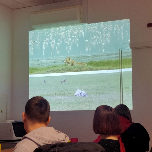 Udeleženci z zanimanjem gledajo fotografije afriških živali